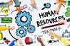 Discover a Career as a Human Resources Professional 